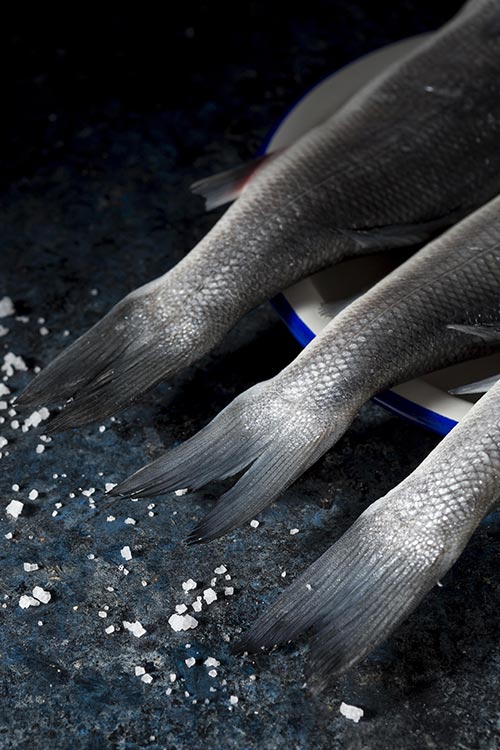 Photo culinaire pour l'industrie de la transformation des produits de la mer en Bretagne