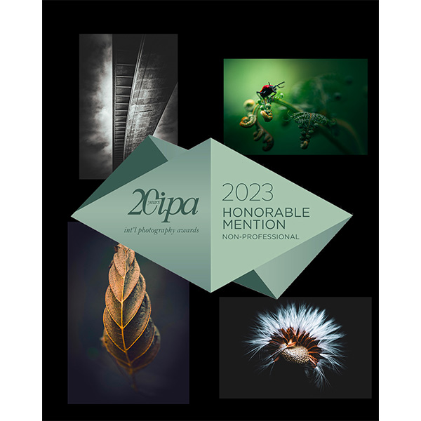 Récompenses à IPA 2024 - Photographe à Rennes - © Rodolphe Debyser - Photo non libre de droit